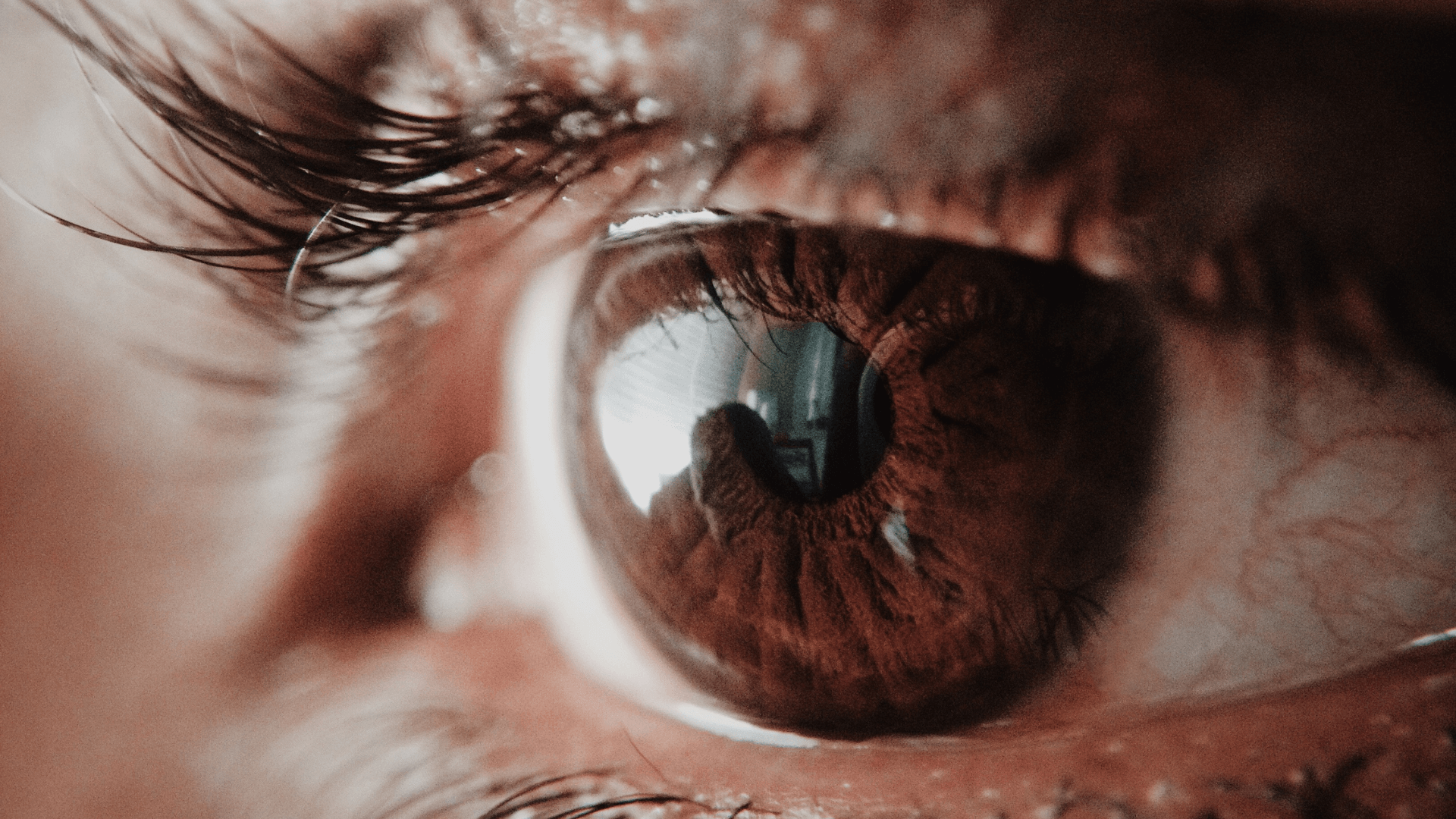Seafood helps maintain good eyesight