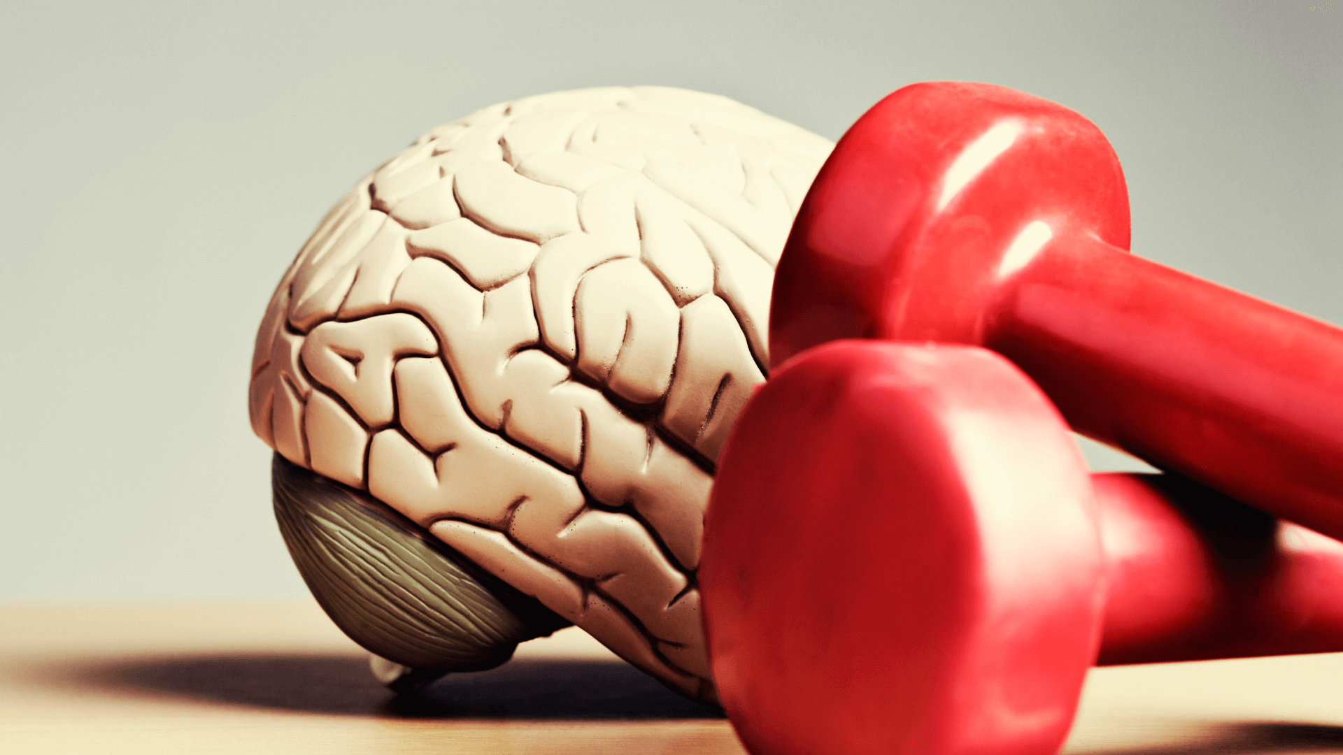 Eating seafood boosts brain power